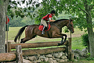 Wishing Well Equestrian Center